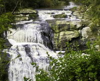 Book Toora Accommodation Vacations Attractions Melbourne Attractions Melbourne
