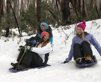 Book Marysville Accommodation Vacations Attractions Melbourne Attractions Melbourne