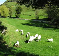 Goats of Gaia Soap - Attractions Melbourne
