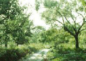 Rosedale VIC Attractions Melbourne