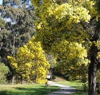 Wattle Park - Attractions Melbourne