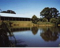 St Anne's Vineyard