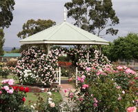 Morwell Centenary Rose Garden