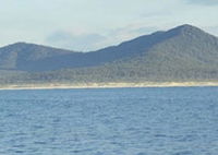 Gabo Island
