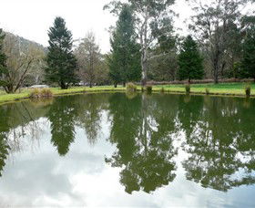Mountain Fresh Trout And Salmon Farm - Attractions Melbourne 0