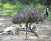 Bundoora Park