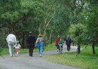 Birrarrung Park