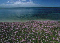 Book Loch Sport Accommodation Vacations Attractions Melbourne Attractions Melbourne
