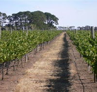 Mount Beckworth Wines - Attractions Melbourne