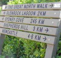 Great North Walk - Attractions Melbourne