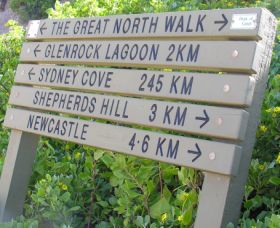 Great North Walk - Attractions Melbourne 0