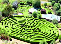 Book Wandiligong Accommodation Vacations Attractions Melbourne Attractions Melbourne