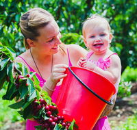 Cherryhill Orchards - Attractions Melbourne