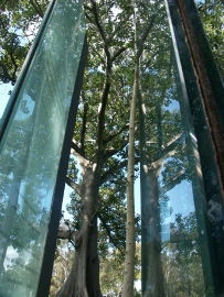 Sydney Sculpture Walk - Attractions Melbourne 0