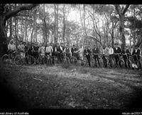 Book Mystery Bay Accommodation Vacations Attractions Melbourne Attractions Melbourne