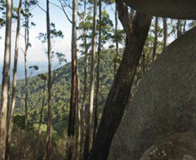 Gulaga National Park - Attractions Melbourne 0