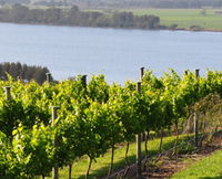 Book Shoalhaven Heads Accommodation Vacations Attractions Melbourne Attractions Melbourne