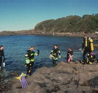 Bushrangers Bay Aquatic Reserve - Attractions Melbourne