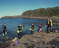 Book Shellharbour Accommodation Vacations Attractions Melbourne Attractions Melbourne