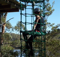 Trees Adventure Shoalhaven - Attractions Melbourne