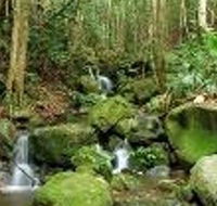 Budderoo National Park - Attractions Melbourne