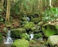 Budderoo National Park