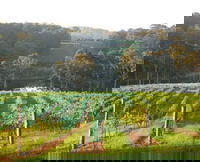 Book Narooma Accommodation Vacations Attractions Melbourne Attractions Melbourne