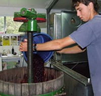 Fern Gully Winery - Attractions Melbourne