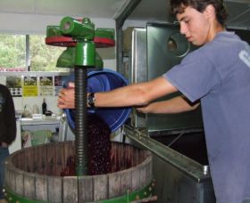 Fern Gully Winery - Attractions Melbourne 0