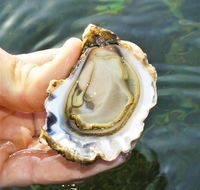 The Oyster Pot - Attractions Melbourne