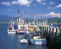 Book Eden Accommodation Vacations Attractions Melbourne Attractions Melbourne