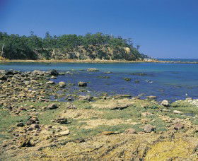 Aslings Beach - Attractions Melbourne 0