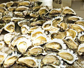 Wheelers Oysters - Attractions Melbourne 0