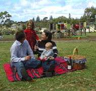 Blackbutt Forest Reserve - Attractions Melbourne