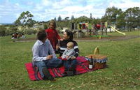 Blackbutt Forest Reserve