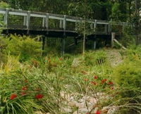 Eurobodalla Botanic Gardens