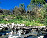 Abrahams Bosom Reserve
