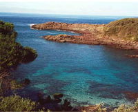 Bass Point Reserve