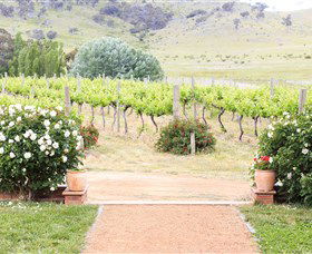 Brindabella Hills Winery - Attractions Melbourne 0