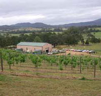 Villa d Esta Vineyard - Attractions Melbourne