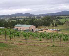 Villa D Esta Vineyard - Attractions Melbourne 0