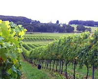 Book Canyonleigh Accommodation Vacations Attractions Melbourne Attractions Melbourne
