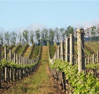 Philip Shaw Wines - Attractions Melbourne
