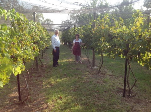 Holland Wines - Attractions Melbourne 8