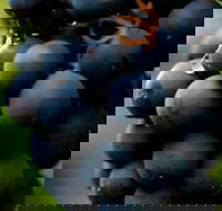 Swinging Bridge Estate - Attractions Melbourne