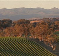 Angullong Wines - Attractions Melbourne