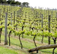 Bantry Grove - Attractions Melbourne