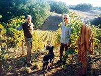 Book Lenswood Accommodation Vacations Attractions Melbourne Attractions Melbourne