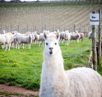 Gemtree Vineyards Cellar Door - Attractions Melbourne