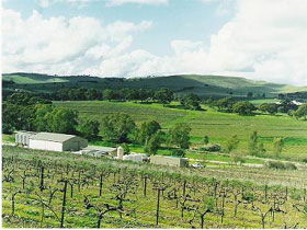 Stephen John Wines - Attractions Melbourne 2